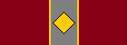 Command Division Service Award